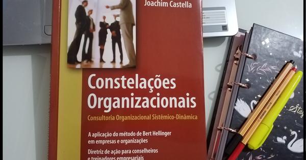 Fichamento ConstelaÇÕes Organizacionais Saber Sistêmico Comunidade Da Constelação Familiar