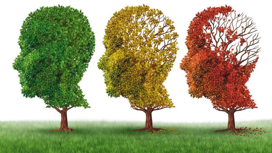 Doença de Alzheimer - prevenção para não cair no esquecimento!